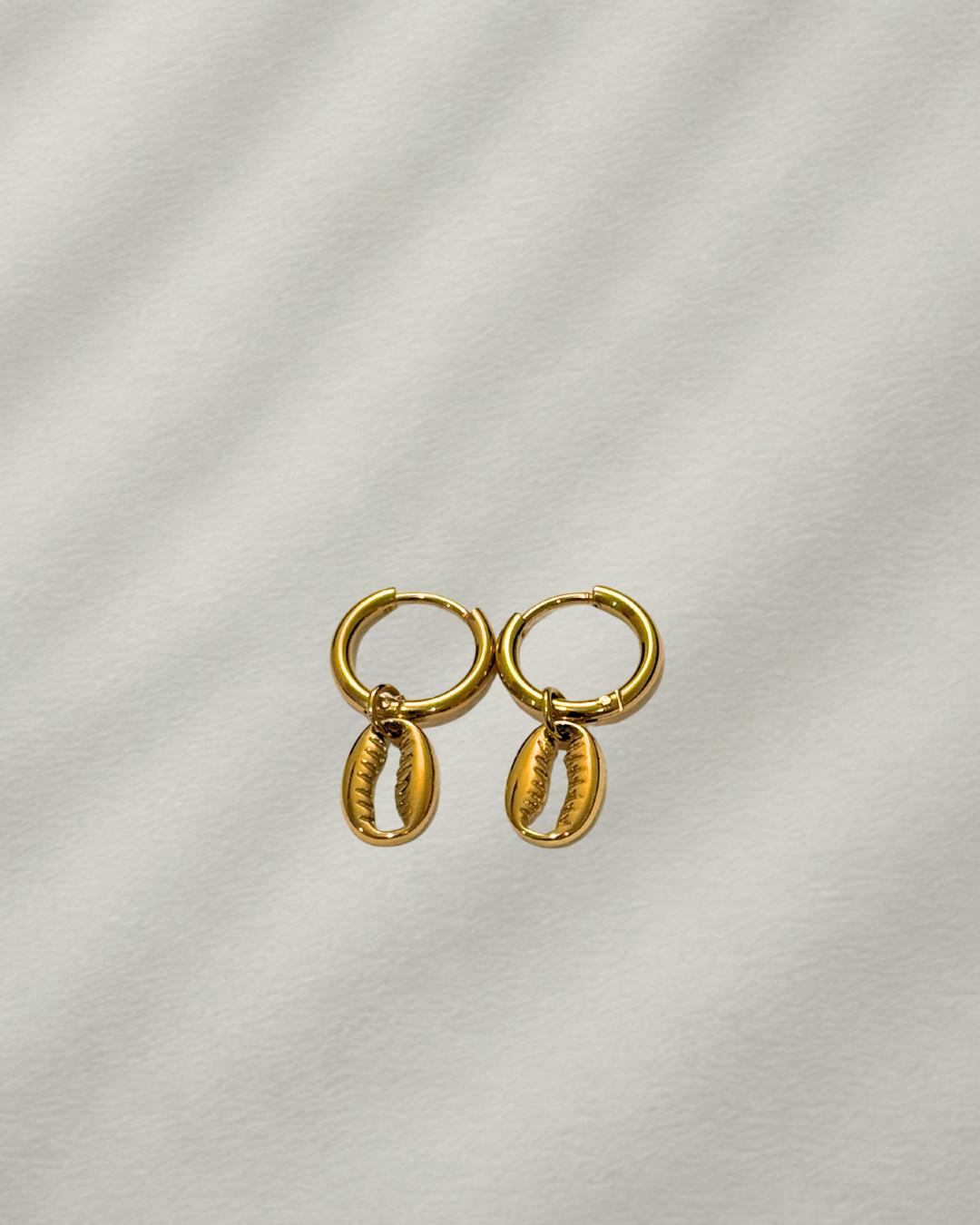 Golden Shell Huggie Hoops
